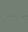 eukaliptus.png