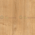 d, arlington.png