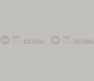szary perłowy.png