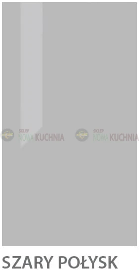 Kolory 02 POŁYSK Szary.jpg
