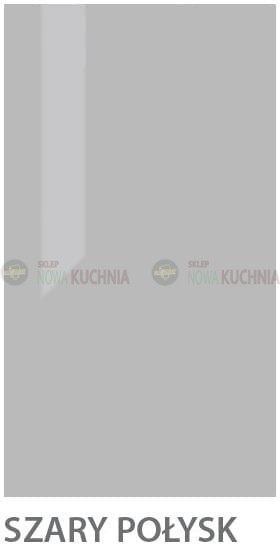 Kolory 02 POŁYSK Szary.jpg