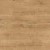 P2 Dąb Arlington.jpg