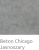 BETON CHICAGO JASNY.png