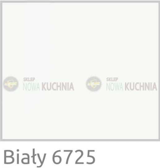 BIAŁY 6725.png