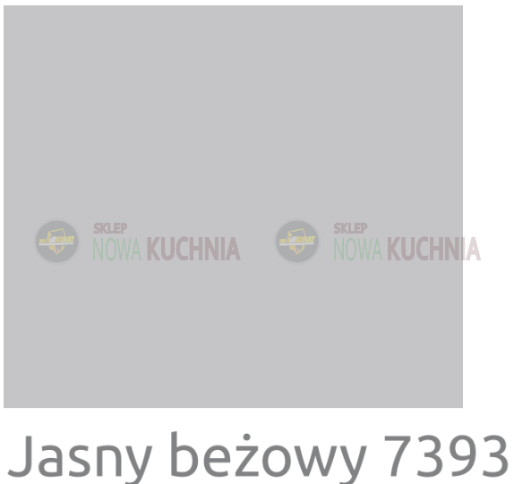 JASNY BEŻOWY 7393.png