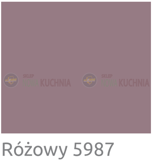 RÓŻOWY 5987.png