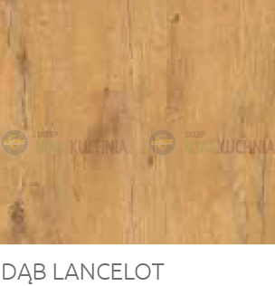 dąb lancelot.png