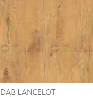 dąb lancelot.png