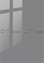 kolor-KAMMONO-P4-Szary-Polysk-C.png