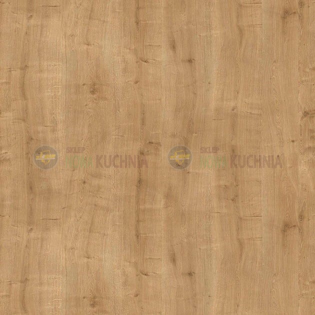 Front 05 Dąb Arlington.jpg