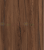 dąb estana.png