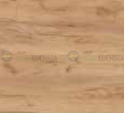 dąb złoty.png