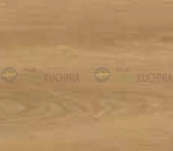 dąb karmel.png