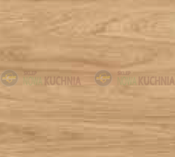hikora.png