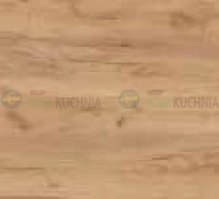 dąb złoty.png
