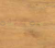 dąb lancelot.png