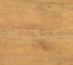 dąb lancelot.png