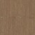 dąb belmond.jpg