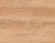 Dąb nebraska.jpg
