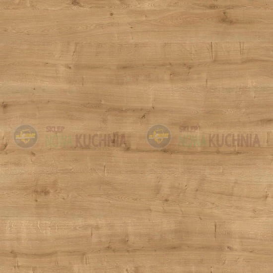 P2 Dąb Arlington.jpg