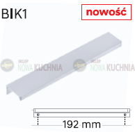 bik1.png